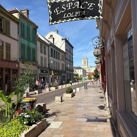 Lägenhet Calme Au Coeur De Troyes